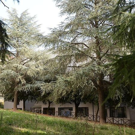 B&B Europa Potenza Kültér fotó